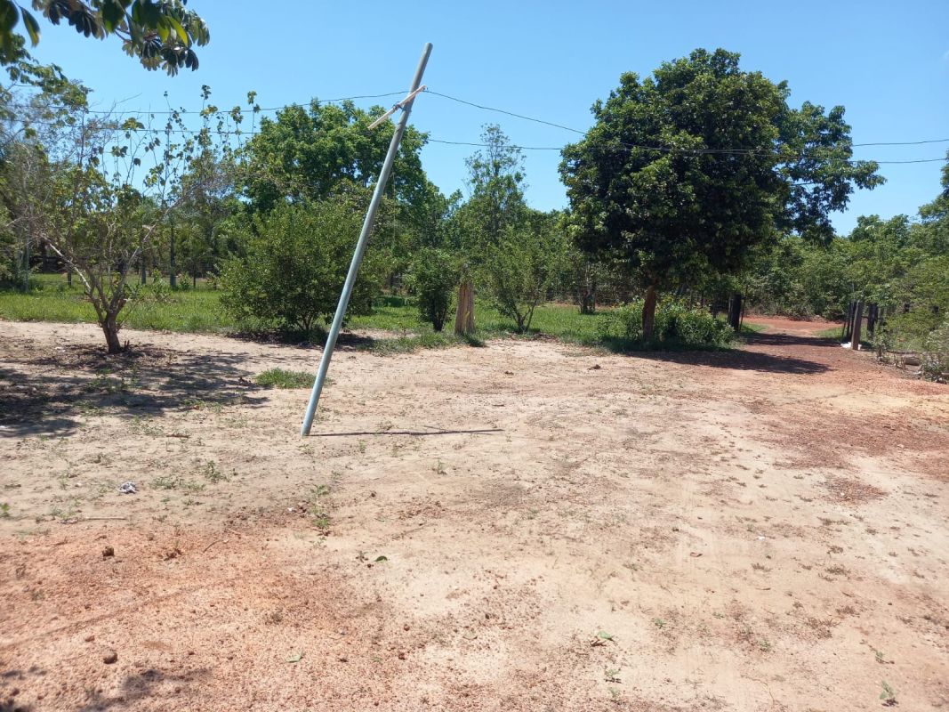 Fazenda à venda com 2 quartos - Foto 10