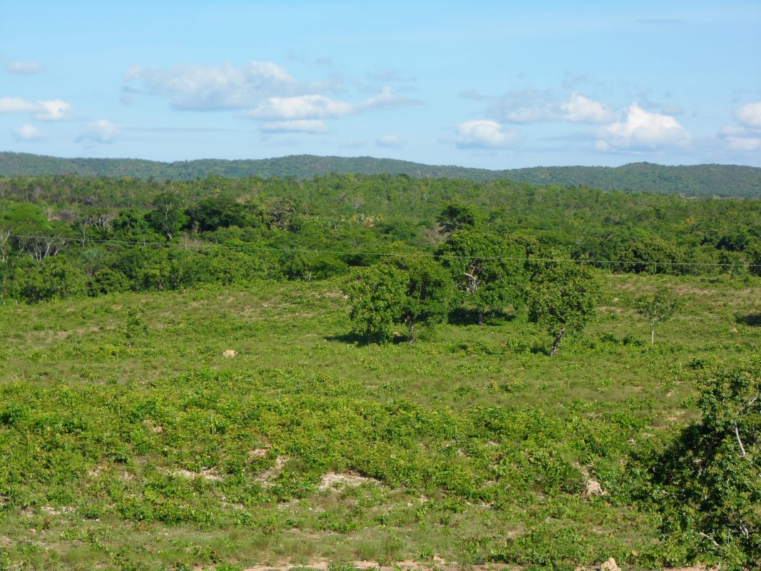 Fazenda à venda com 3 quartos - Foto 11