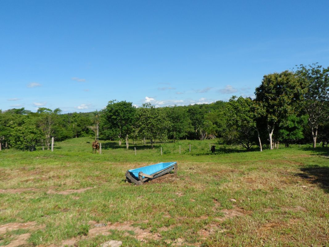 Fazenda à venda com 3 quartos - Foto 16