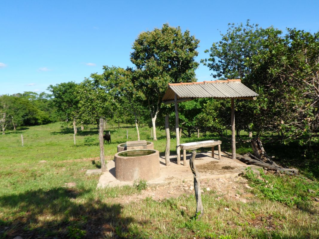 Fazenda à venda com 3 quartos - Foto 17