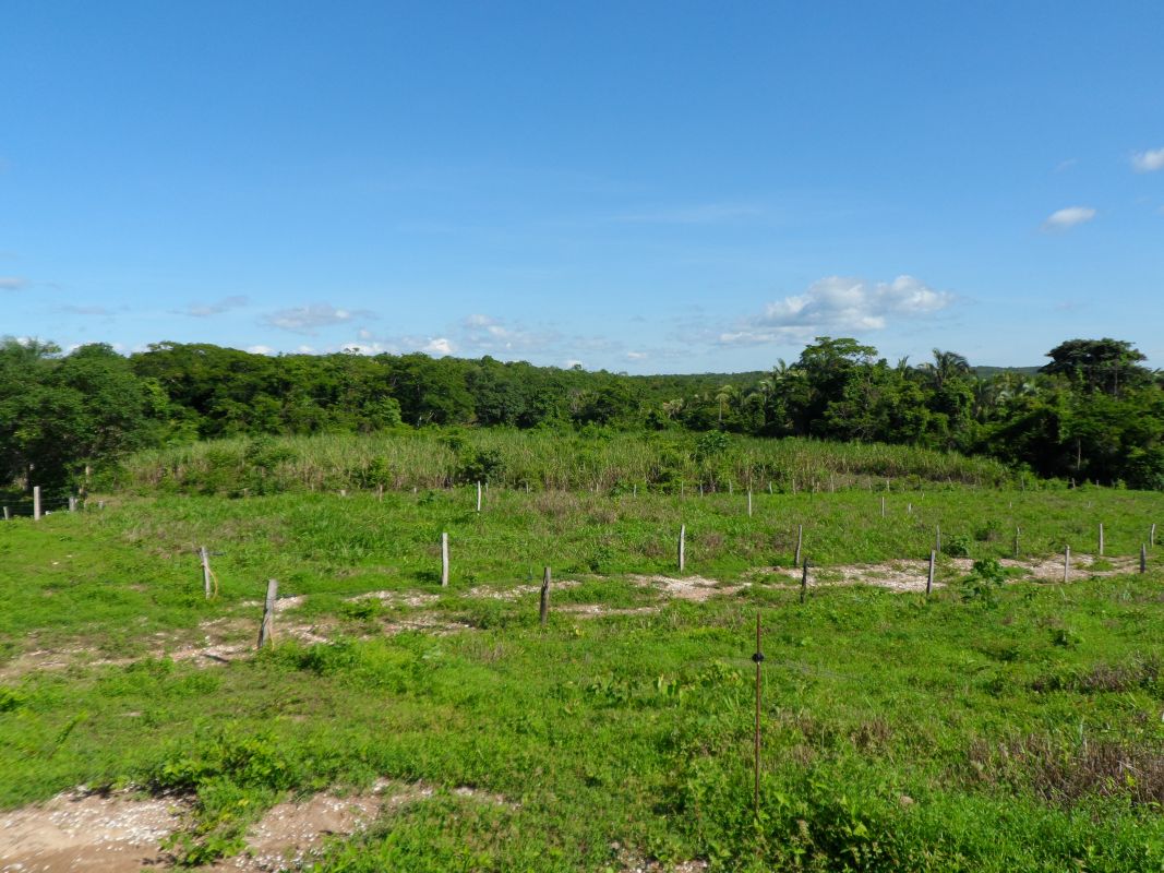 Fazenda à venda com 3 quartos - Foto 18