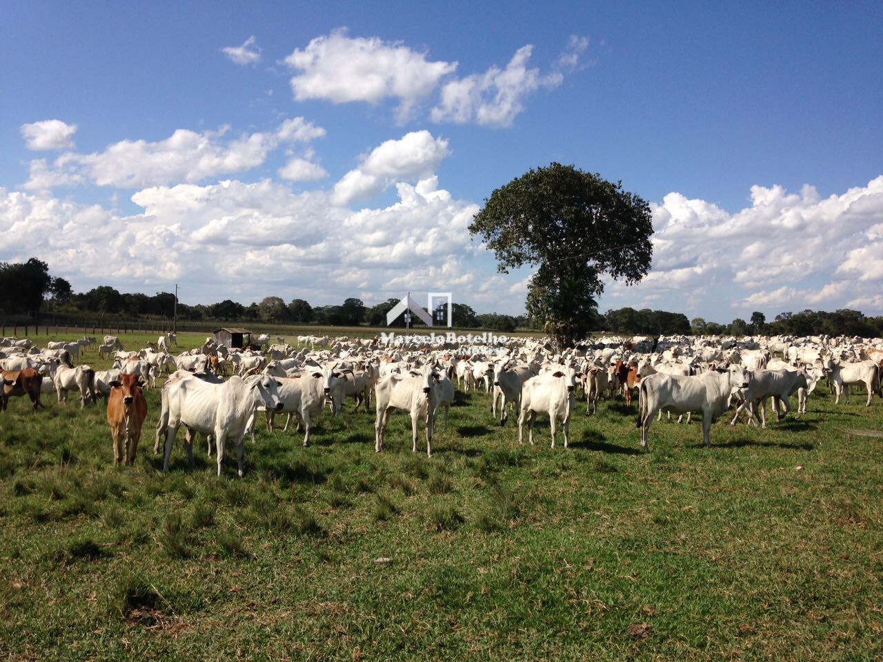 Fazenda à venda, 6660m² - Foto 8